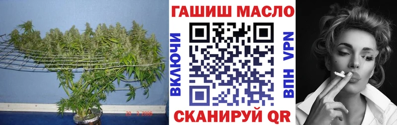 Дистиллят ТГК гашишное масло  Чехов 